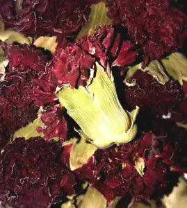 Carnation Buds - Dianthus caryophyllus Organic Dried Apothecary Flower 0.5-4 oz