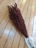 Dried / Preserved Flower - Grabia Basil Red Filler - 5 oz Bunch