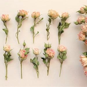 Dried tiny roses 5pcs, Dried ivory pink roses, Small beige roses for wedding crafts