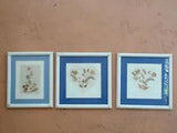 Lot of 3 FRAMED SIGNED 1989 INTERIA  WILDFLOWERS DRY PRESSED FLOWERS WALL ART