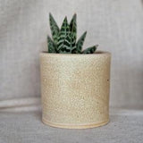 Cream ceramic planter, Handmade glazed beaker, speckled plant pot, 200ml beige vessel, unique British gift, handcrafted plant pots