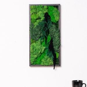 Hanging Moss Wall Decor Piece, Green Living Room Vertical Moss Wall Panel, Preserved Moss Wall Art Indoor Vertical Garden, Bio Art