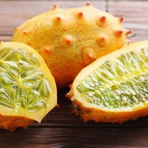 African Horned Cucumber Kiwano Horned Melon 0.3g - 20 Seeds - Cucumis Metuliferus