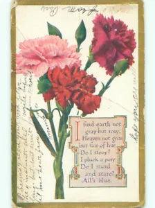 Pre-Linen BEAUTIFUL PINK AND RED CARNATION FLOWERS : make an offer J3167