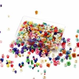 Beautiful Real Dried Flowers Epoxy Resin Mold Fillings Jewelry Making Supply New