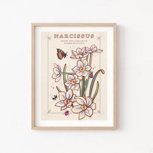 Narcissus Wall Art Print, December Birth Flower Illustration Print