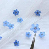 20PCS Blue Forget Me Not Flowers Dried Pressed Nature Flower Decor L7L4 G0H0