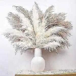 NEW LISTINGDried Flowers Bouquet, Pampas Grass Decor, Boho Neutral Home 30PCS Pampas