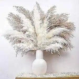 NEW LISTINGDried Flowers Bouquet, Pampas Grass Decor, Boho Neutral Home 30PCS Pampas