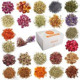 24 Bags Dried Flowers 100 Natural Dried Flowers Herbs Kit for Soap Making DIY Ca