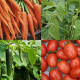 Medium Vegetable Garden Seed Kit #2 - Heirloom Seeds - Kids Vegetable Seeds - 4 Seed Packets