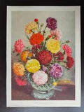VINTAGE ORIG. COLOUR PRINT-GARDENING/FLOWERS-PERPETUAL FLOWERING CARNATIONS-1933