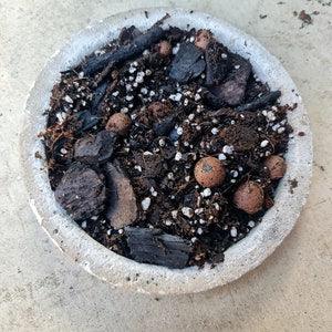 Super Chunky Aroid Soil Mix for Indoor Tropical Plants | Free Draining Soil for Monsteras, Philodendrons, Syngoniums, Hoya String of things