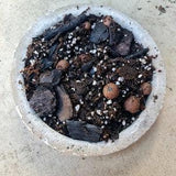 Super Chunky Aroid Soil Mix for Indoor Tropical Plants | Free Draining Soil for Monsteras, Philodendrons, Syngoniums, Hoya String of things