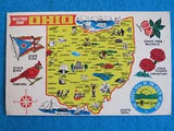 Vintage POSTCARD: State of OHIO: Buckeye Tree, Carnation Flower, Flag, Cardinal