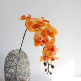 Real Touch Phalaenopsis Stem Fake Butterfly Flower Quality Home Floral Decor Wedding Party Cymbidium Orchid Arrangement Material Vase Idea