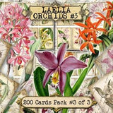 Laelia Orchids #3 - set of 200 ATC cards printable flowers botanical floral plants flora colorful print vintage pictures images