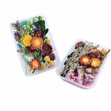 1 Box Dried Flower Real Dry Plants For Aromatherapy Candle Craft DIY AccessoriCA