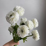 Artificial Ranunculus Flower Stem - High Quality Faux Floral / Wedding / Home Decoration / DIY / Gifts / White