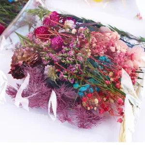 1PC Real Dried Flower Dry Plants For Aromatherapy Candle Epoxy Resin    ln