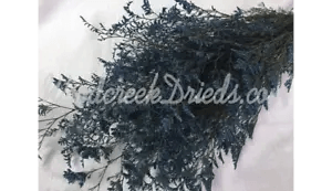 PRESERVED DYED NAVY BLUE CASPIA FLORAL FOLIAGE FILLER FLOWER
