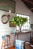 Eclectic Home Tour - Sea Roost Flower Delivery