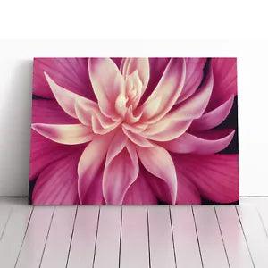 Seductive Carnation Flower Canvas Print Wall Art Framed Picture Home Decor Large