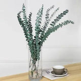 Natural Dried Eucalyptus Leaves Flower Real Plant Branches Stem Bouquet Material