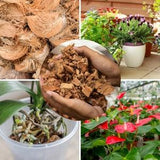 100% Natural Organic Coconut husk fiber Chips for Anthuriums and Orchids, Pet terrarium, additional substrate for hamsters and reptiles