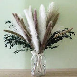 20Pcs Dried Flower Rabdosia Bouquet Eucalyptus Grass Home Floral Decor DIY Gift