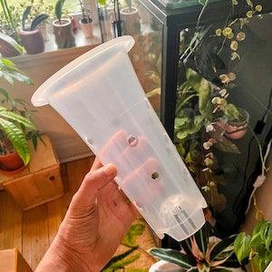 Clear Plastic Extra Tall Plant Pots for ,Houseplants, Aroids, Hoyas, Monstera, Orchids