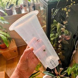 Clear Plastic Extra Tall Plant Pots for ,Houseplants, Aroids, Hoyas, Monstera, Orchids