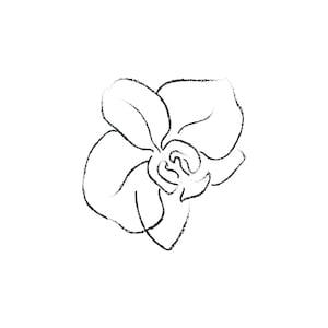 Hand Drawn Orchid Flower Arrangements. Floral Decorative Design Elements. Orchid-3. Vector Illustration. Gentle Leaves, Feminine Logos.