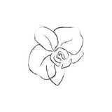 Hand Drawn Orchid Flower Arrangements. Floral Decorative Design Elements. Orchid-3. Vector Illustration. Gentle Leaves, Feminine Logos.