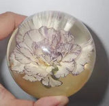 Carnation Flower in 80 mm Sphere Dome Clear Real Flower Specimen