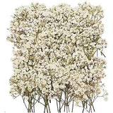 Mini Bulk Dried Babys Breath Flowers 3 Inch, Small Babies Breath Flowers