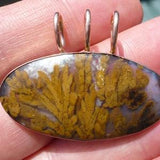 Texas Canary Plume Agate set in Solid 14kt Rose Gold (Pendant) from the Woodward Ranch