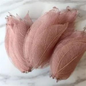 Dried Pressed Leaf Vein Petals Natural Real Leaves DIY Wedding Craft Decor 90Pcs
