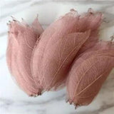 Dried Pressed Leaf Vein Petals Natural Real Leaves DIY Wedding Craft Decor 90Pcs