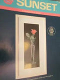 Sunset Flower Cross Stitch Kit- Your Choice Calla Lilies OR Single Rose