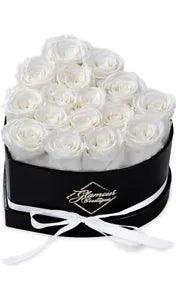 New Listing16 Forever Roses- White