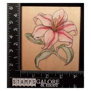 RUBBER STAMPEDE RUBBER STAMPS XL LILY GARDEN FLOWERS #1231