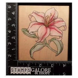 RUBBER STAMPEDE RUBBER STAMPS XL LILY GARDEN FLOWERS #1231