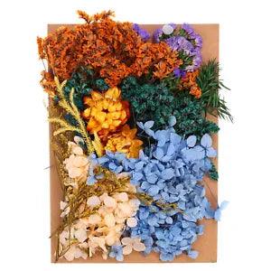 Natural Dried Flowers Multiple Real Dried Pressed Flowers Plant Assorted Color
