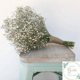 Babies Breath Collection- Bouquet of Dried Babies Breath Wedding Bridal Bouquet