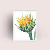 Macro Flowers Series No. 5 Original Watercolor Impression Painting, Macro Sunflower Home Wall D??cor Hanging Gift