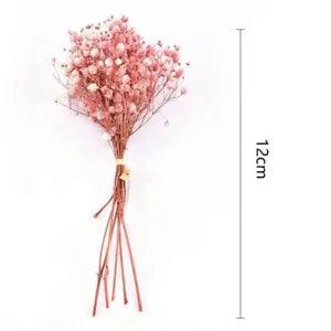 Mini Decorative Flowers Natural Dried Flowers Bouquet Preserve Floral Decoration