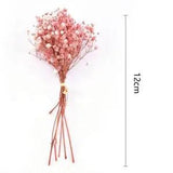 Mini Decorative Flowers Natural Dried Flowers Bouquet Preserve Floral Decoration