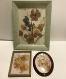 Lot of 3 - 2 vintage pressed dried flower picture & oval dried butterfly picture