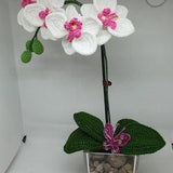 crochet orchid